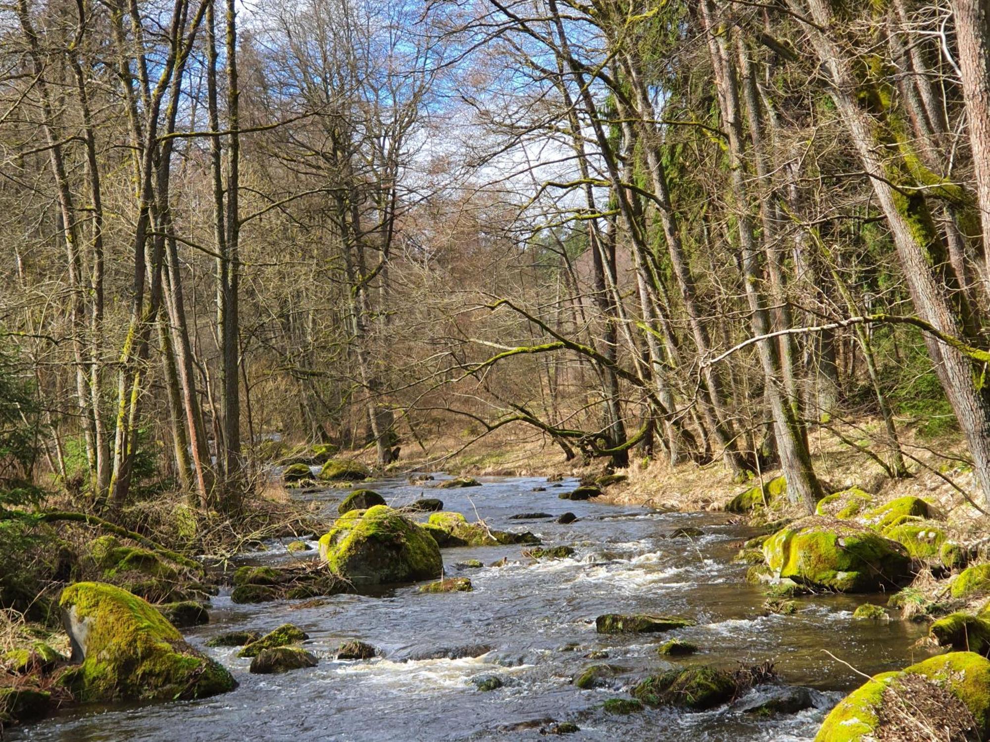 Ferienhaus Rosengarten Villa Selb Esterno foto