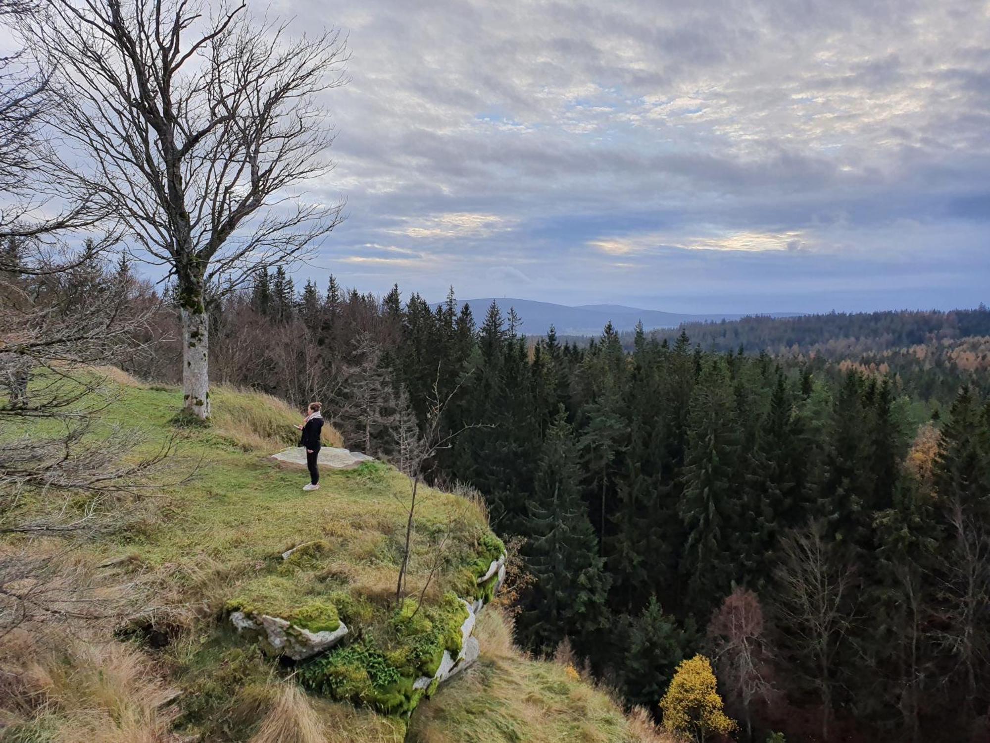 Ferienhaus Rosengarten Villa Selb Esterno foto